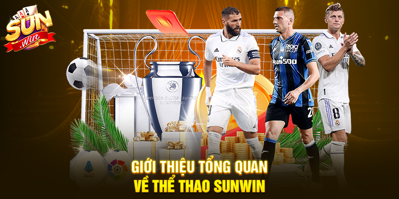 Giới thiệu tổng quan về Thể Thao Sunwin