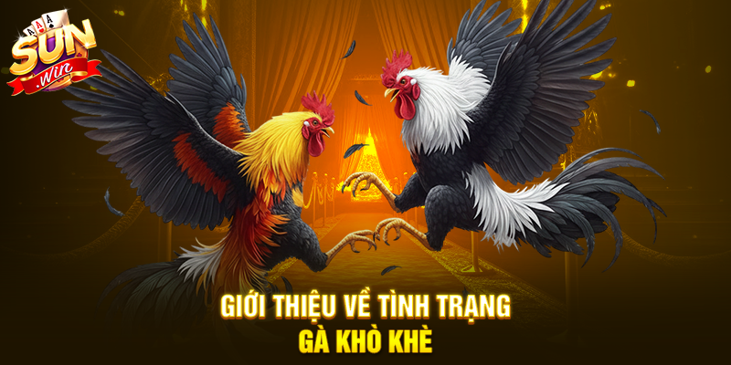 Nguyên nhân khiến gà bị khò khè