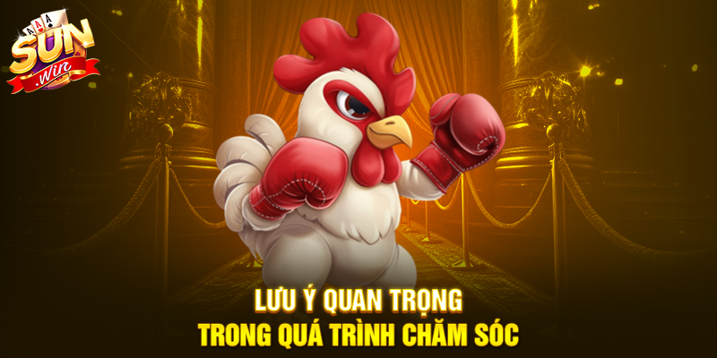 Lưu ý quan trọng trong quá trình chăm sóc