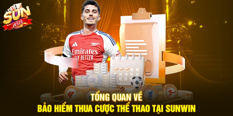 Tổng quan về bảo hiểm thua cược thể thao tại Sunwin