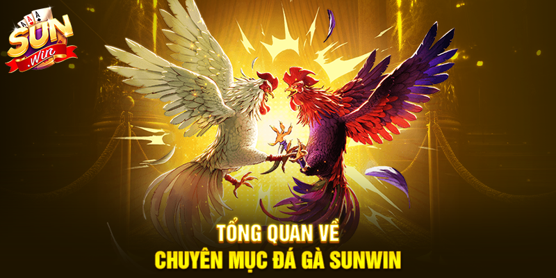 Tổng quan về chuyên mục Đá Gà Sunwin