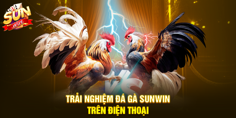 Trải nghiệm Đá Gà Sunwin trên điện thoại