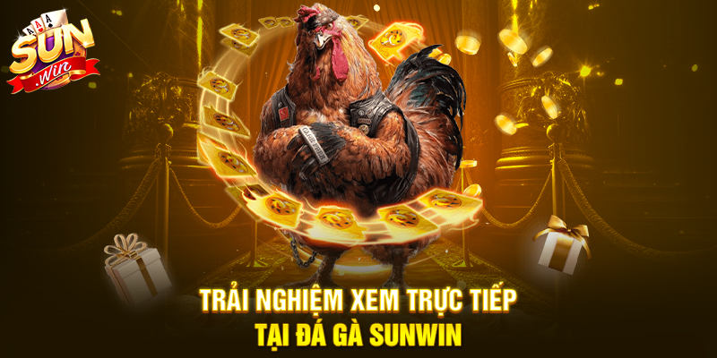 Trải nghiệm xem trực tiếp tại Đá Gà Sunwin